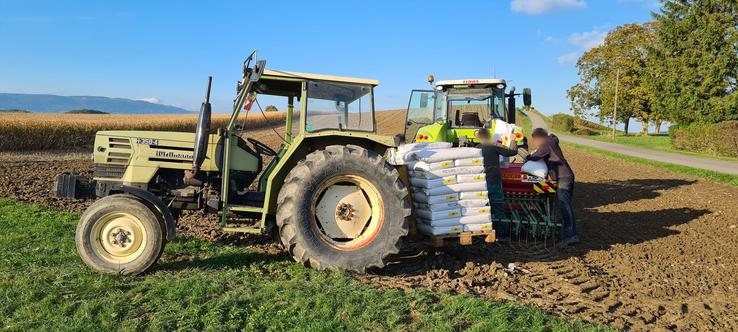 tracteurs Hürlimann et Claas semis blé